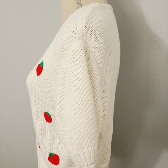 Cider Strawberry Crochet Knitted Short Sleeve Top Curve NWT Size XL - Picture 3 of 8